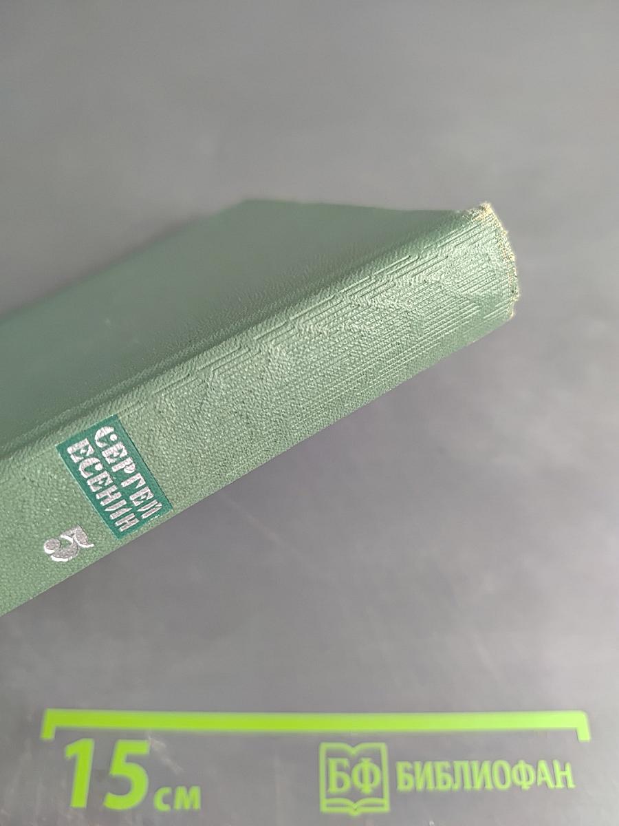 Сергей Есенин. Собрание сочинений. Том пятый. Автобиографии. Письма