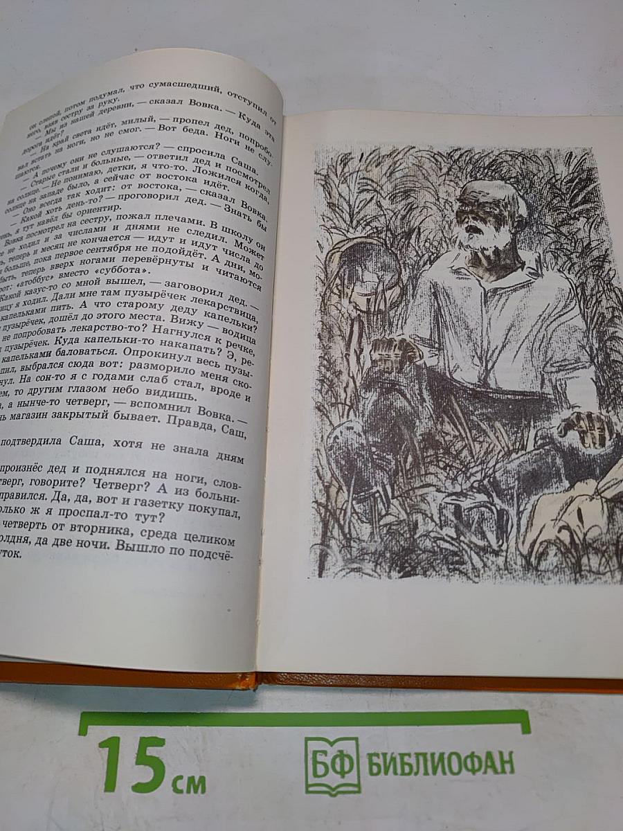 Медовые кладовые