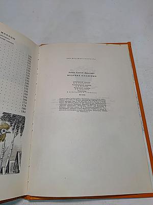 Медовые кладовые