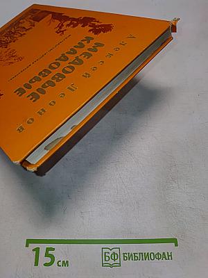 Медовые кладовые