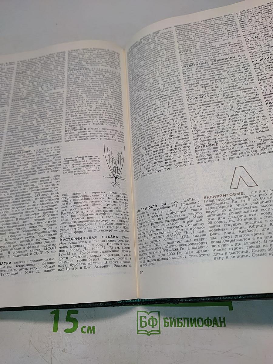 Биологический энциклопедический словарь