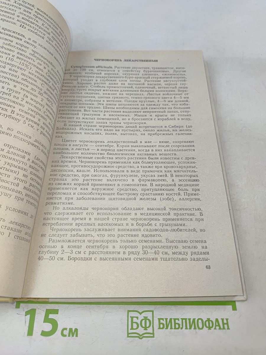 Лекарства с огорода