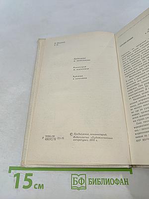 Флибустьеры