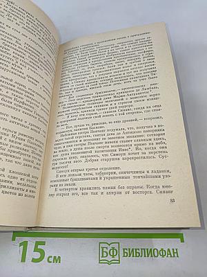 Флибустьеры