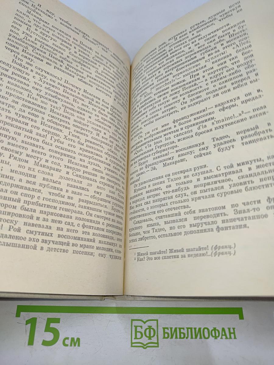 Флибустьеры