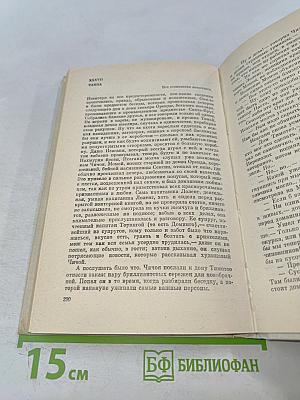 Флибустьеры