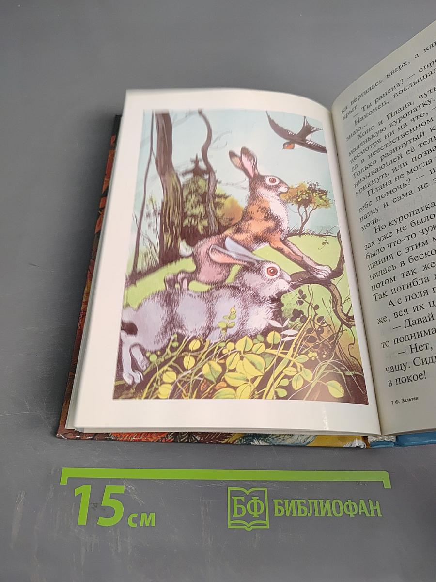 Бемби. Пятнадцать зайцев