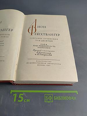 Гойя, или Тяжкий путь познания. Том десятый