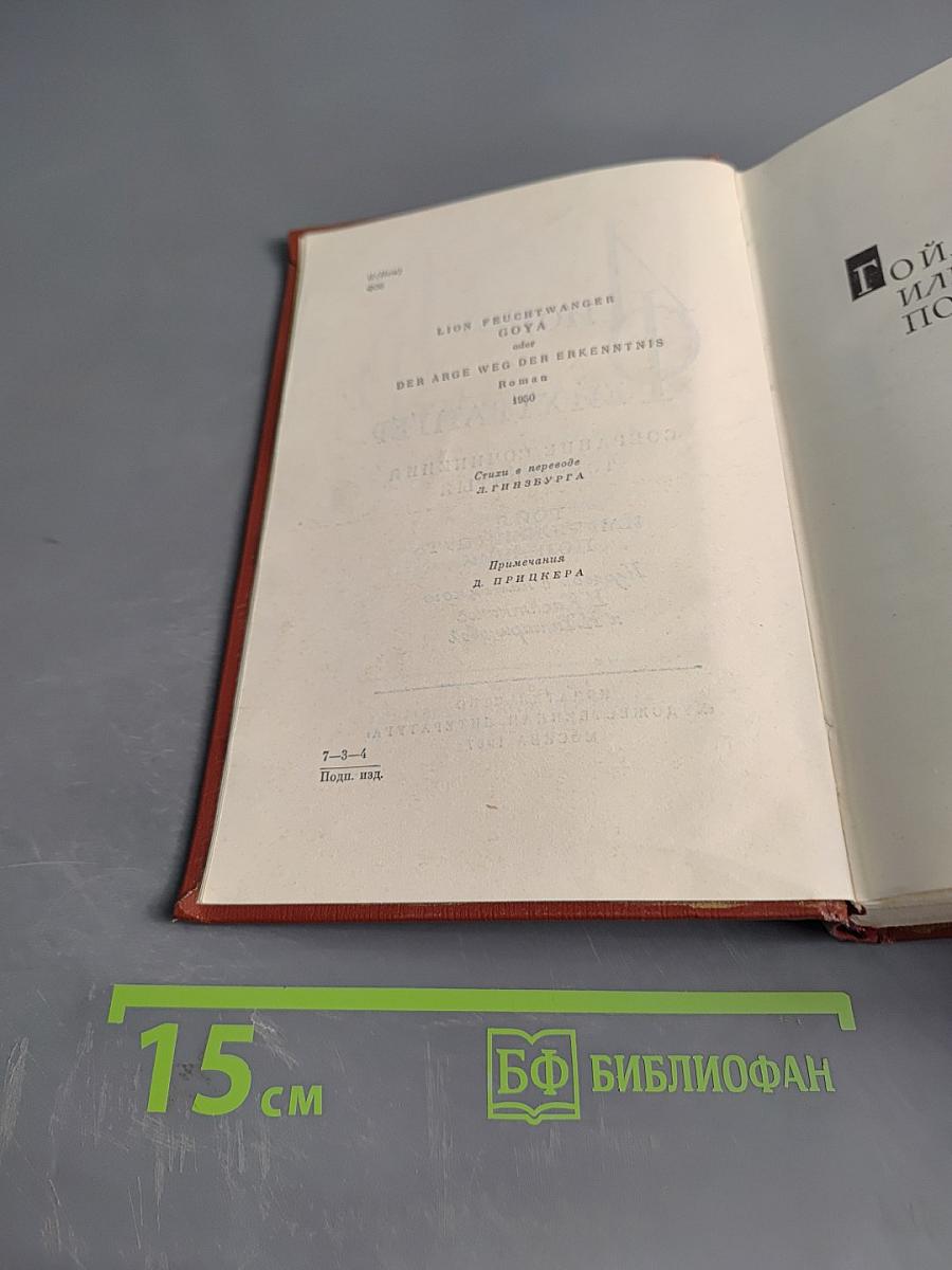 Гойя, или Тяжкий путь познания. Том десятый