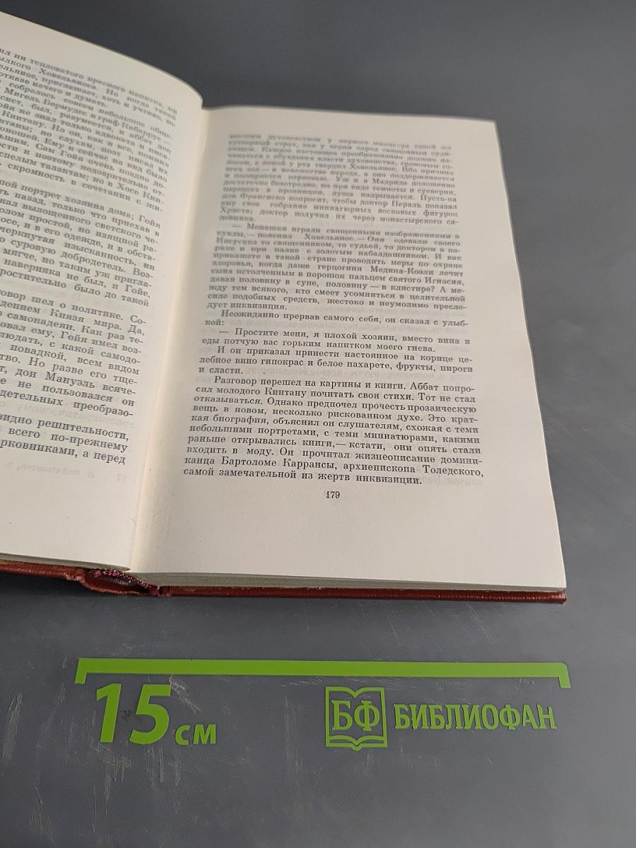Гойя, или Тяжкий путь познания. Том десятый