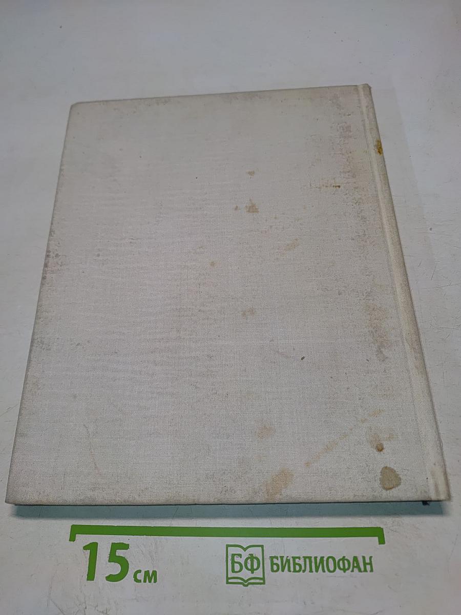 Ограды Санкт-Петербурга