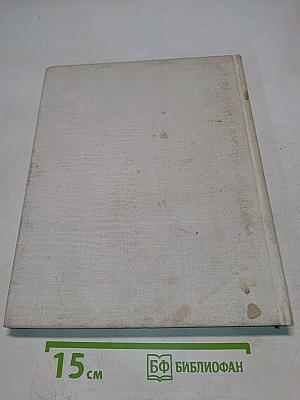 Ограды Санкт-Петербурга