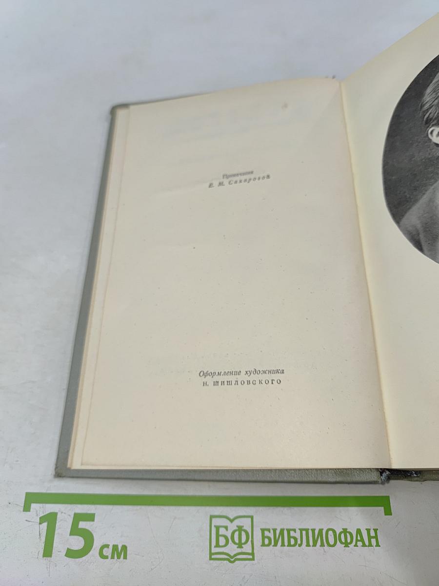 Собрание сочинений. Том пятый. Рассказы 1887