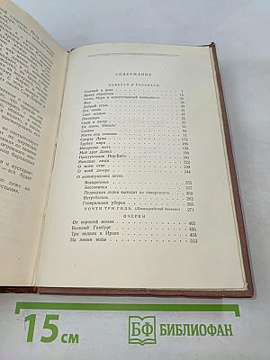 Избранные произведения. Том второй. Повести и рассказы. Почти три года (Ленинградский дневник). Очерки
