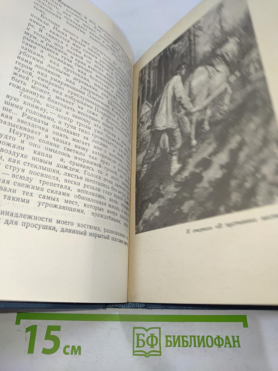Собрание сочинений в пяти томах. Том 3. Рассказы и очерки