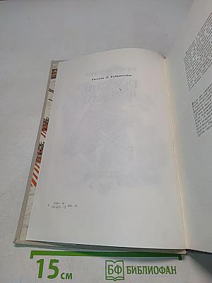 Россия молодая