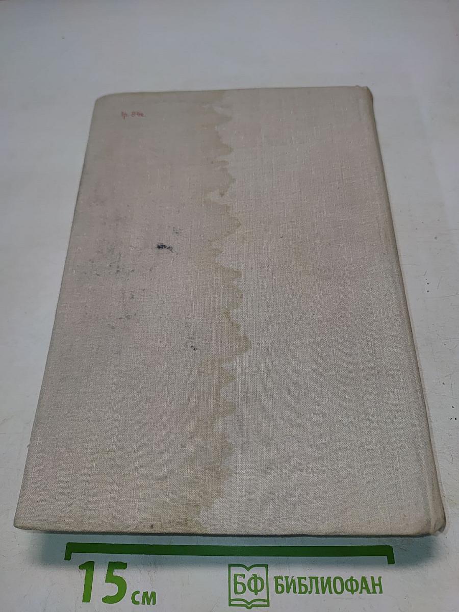 Россия молодая