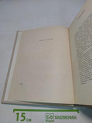 В снегах крайнего юга