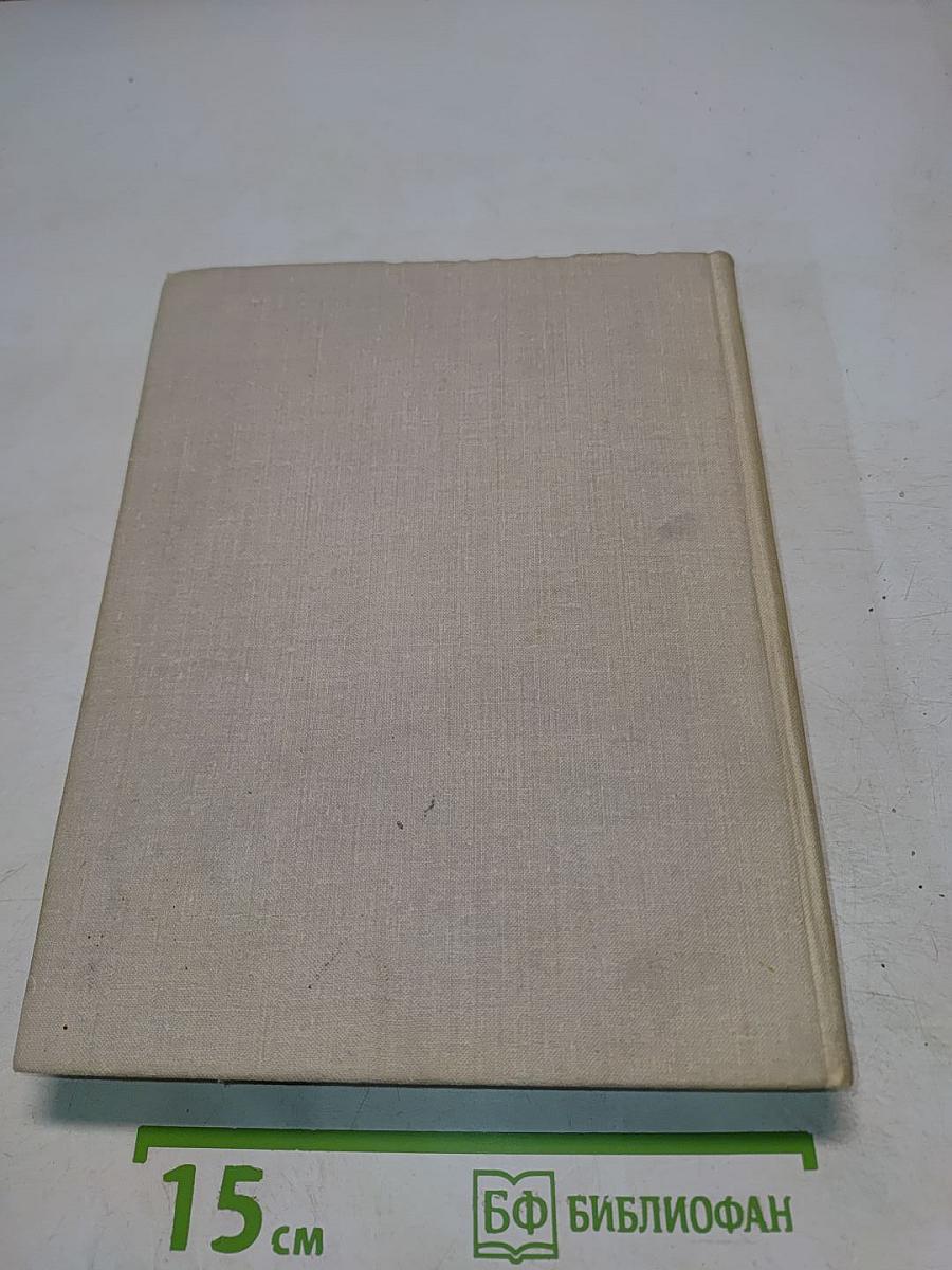 В снегах крайнего юга