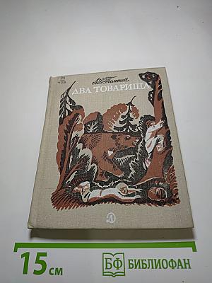 Два товарища