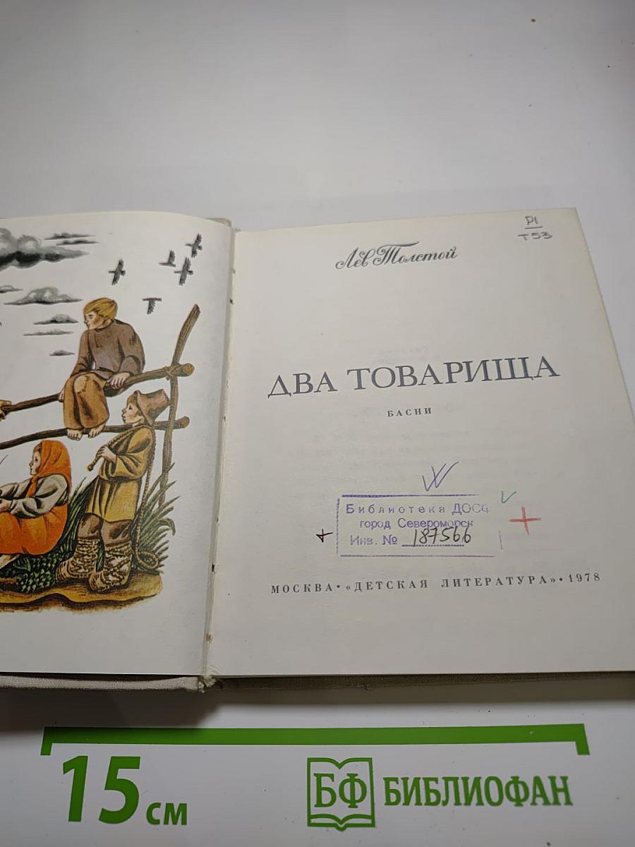 Два товарища