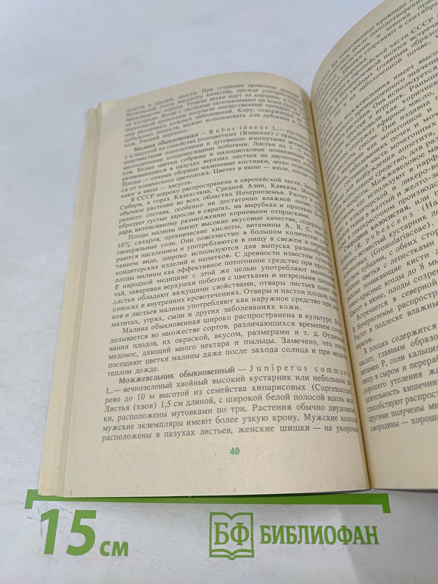 Дикорастущие полезные растения