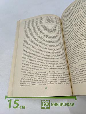 Дикорастущие полезные растения