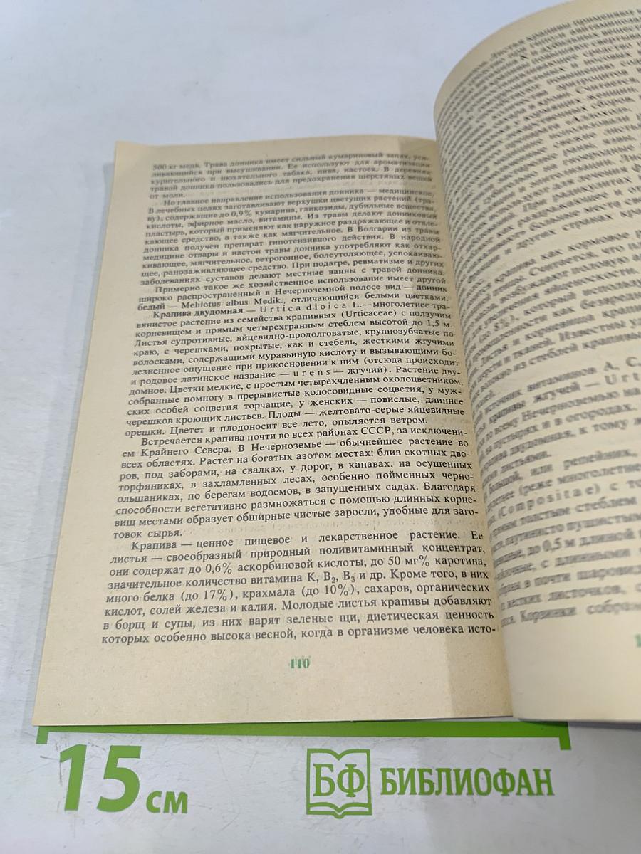 Дикорастущие полезные растения