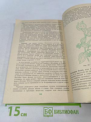 Дикорастущие полезные растения