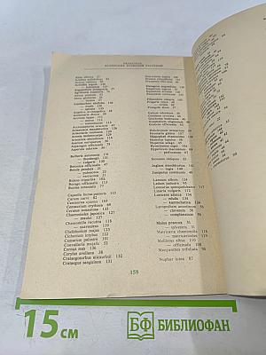 Дикорастущие полезные растения