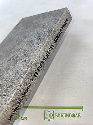 В прицеле-свастика