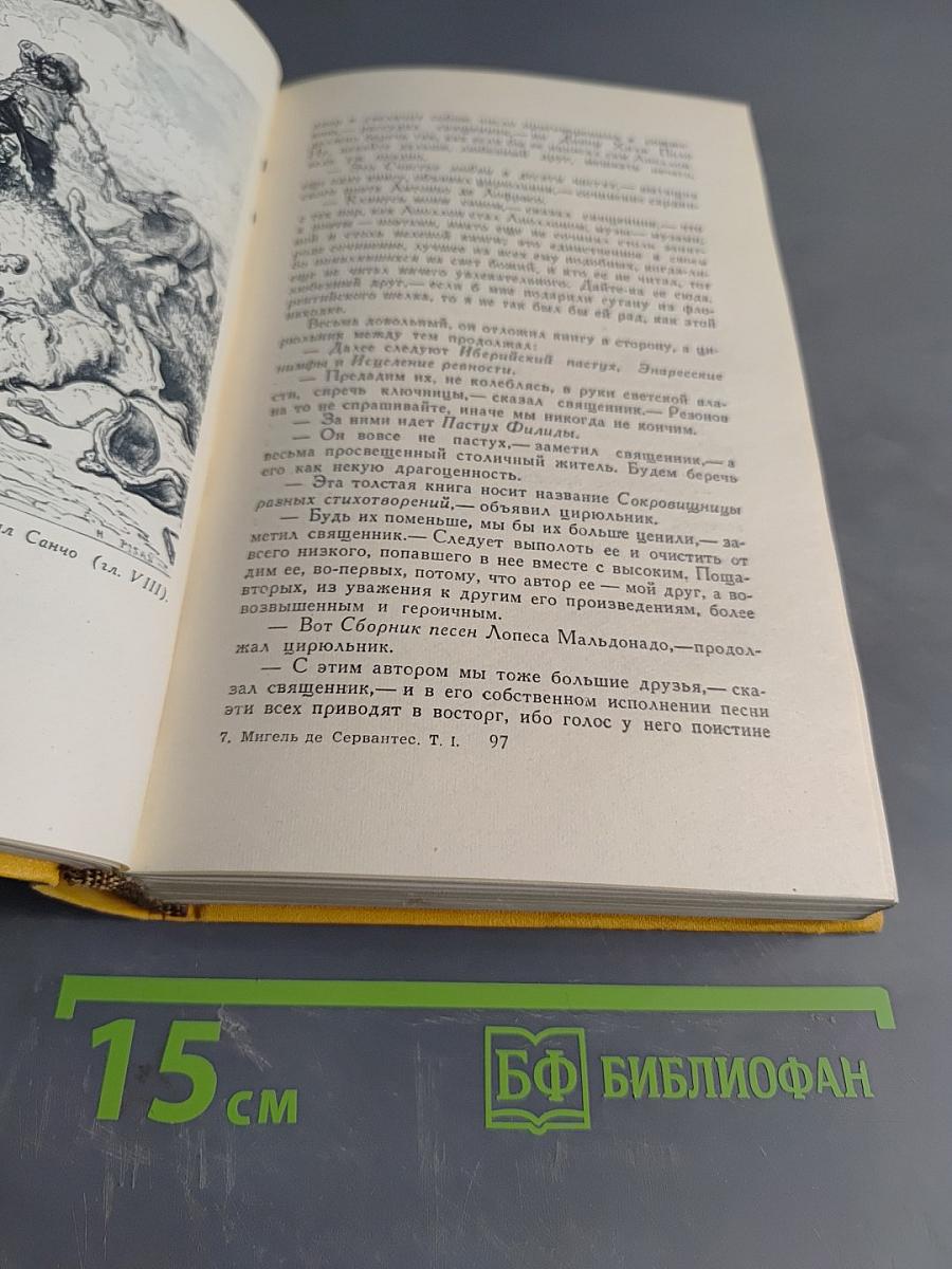 Дон Кихот. Том первый