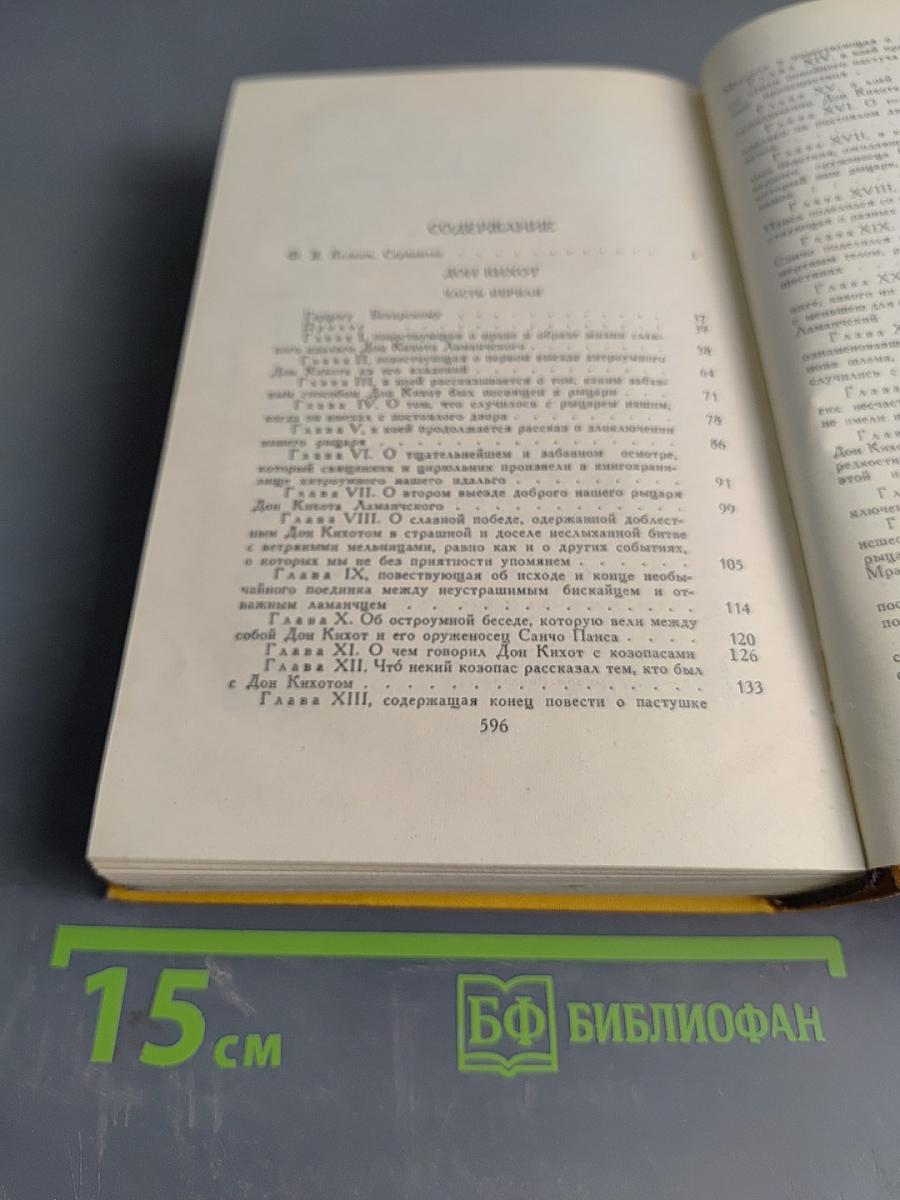 Дон Кихот. Том первый