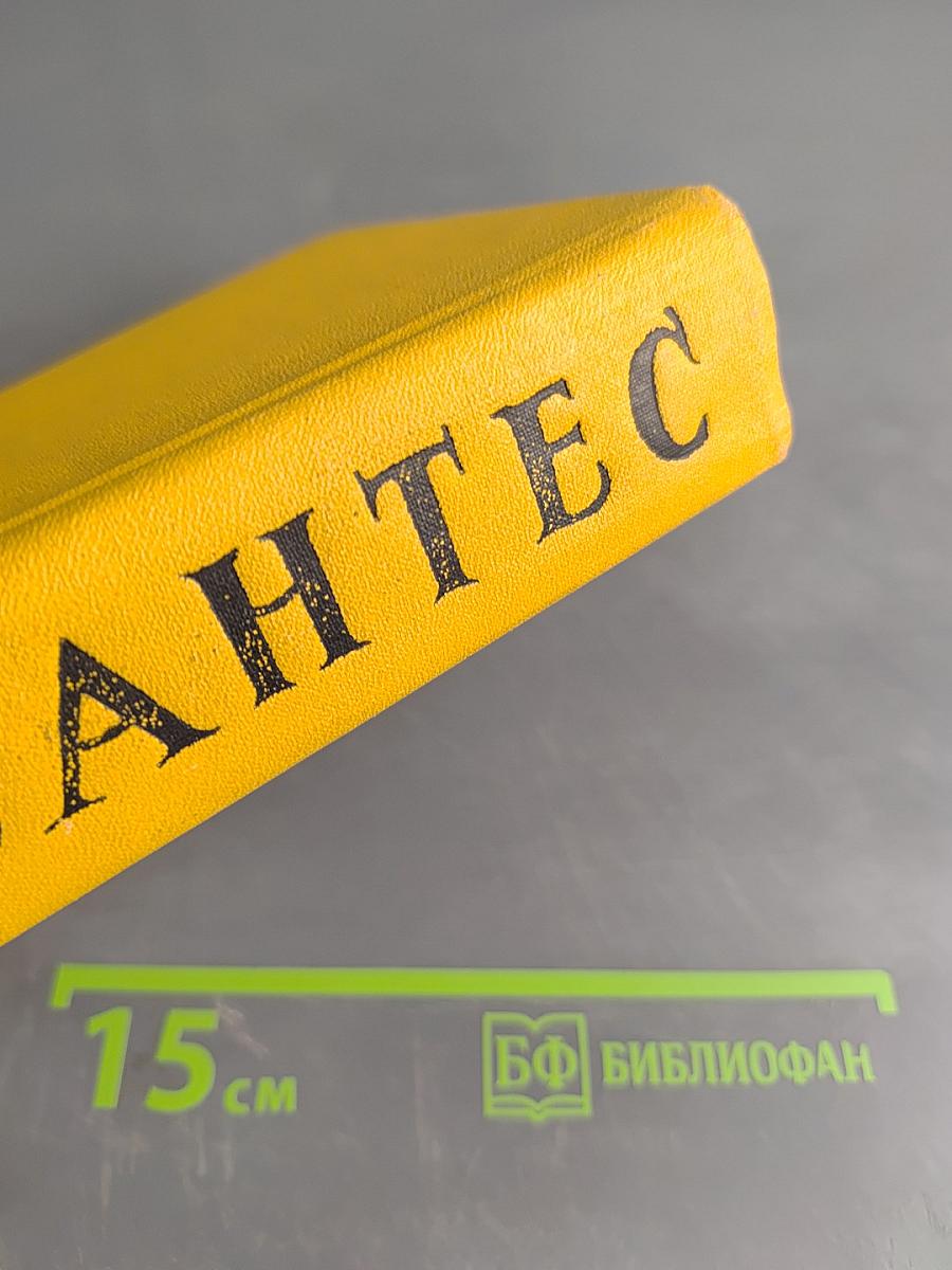 Дон Кихот. Том первый