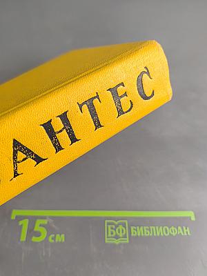 Дон Кихот. Том первый