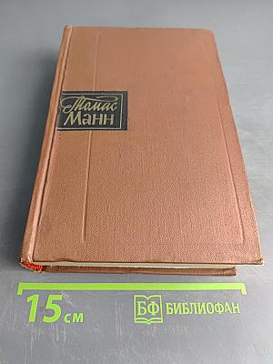 Собрание сочинений. Том первый. Будденброки