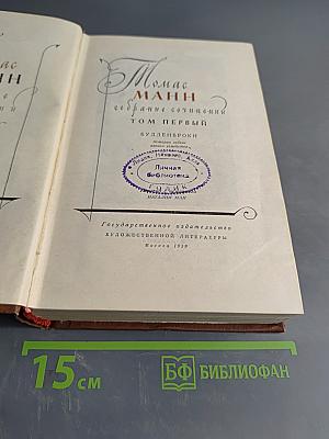 Собрание сочинений. Том первый. Будденброки