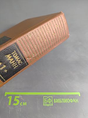 Собрание сочинений. Том первый. Будденброки