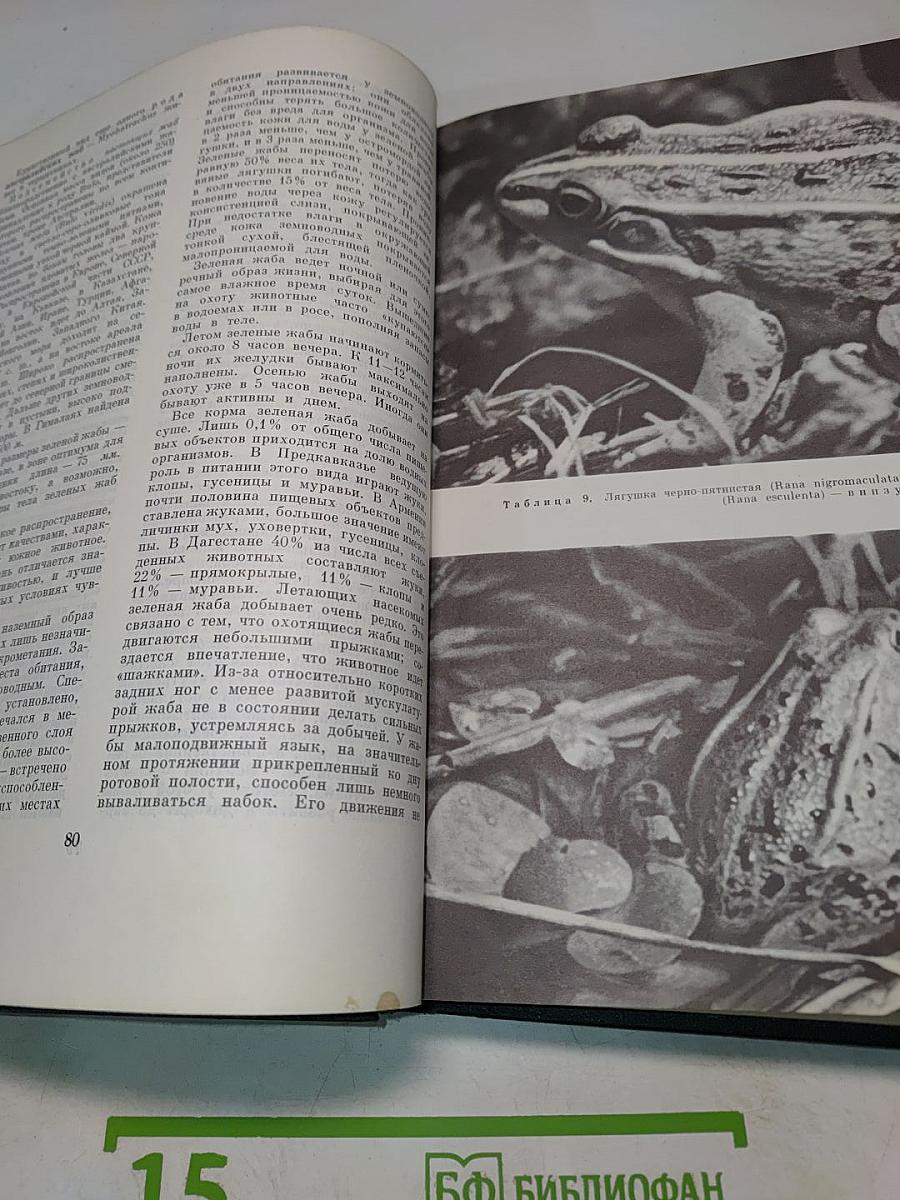 Жизнь животных. Том 4. Часть 2. Земноводные, пресмыкающиеся