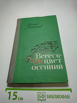 Вереск - цвет осенний