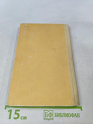 Мальчик с Выборгской