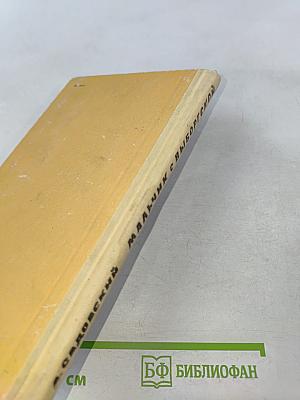 Мальчик с Выборгской