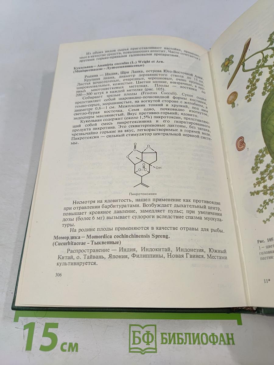 Тропические и субтропические лекарственные растения