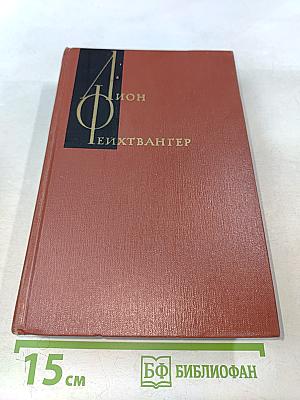 Собрание сочинений. Том четвертый. Успех. Книги 4-5. Семья Опперман