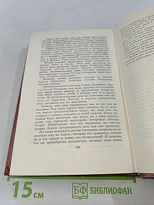 Собрание сочинений. Том четвертый. Успех. Книги 4-5. Семья Опперман