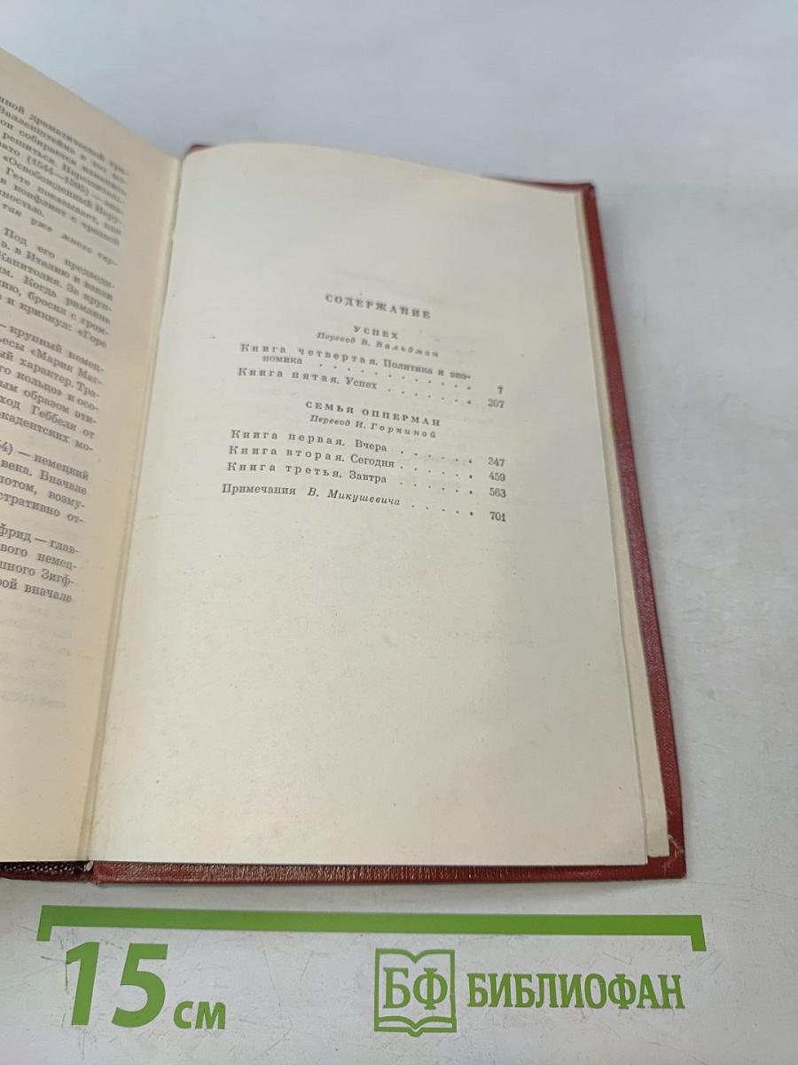 Собрание сочинений. Том четвертый. Успех. Книги 4-5. Семья Опперман
