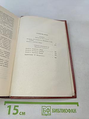 Собрание сочинений. Том четвертый. Успех. Книги 4-5. Семья Опперман
