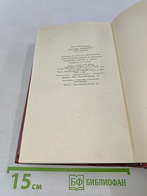 Собрание сочинений. Том четвертый. Успех. Книги 4-5. Семья Опперман