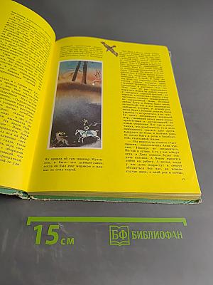 Анни Маннинен