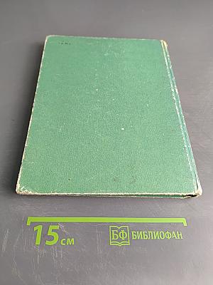 Анни Маннинен